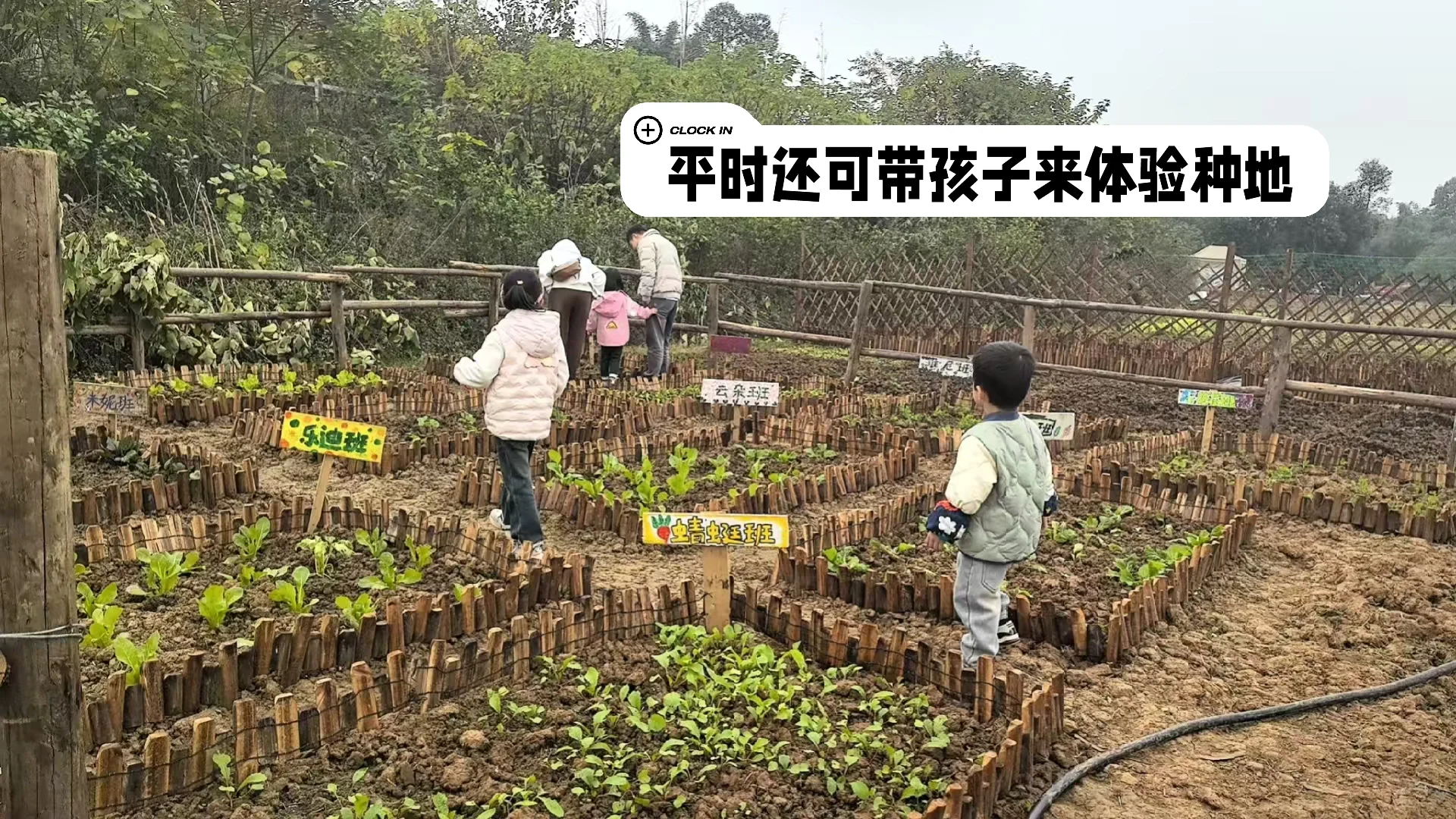 下一个风口就是私域➕共享菜园！