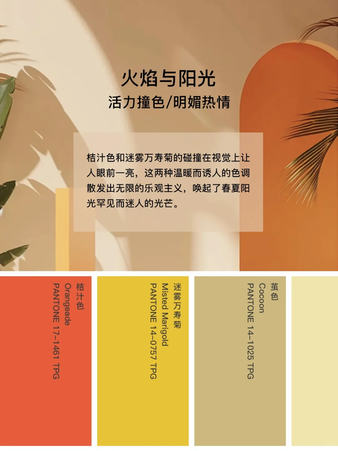 2025春夏纽约时装周关键色5️⃣组灵感配色