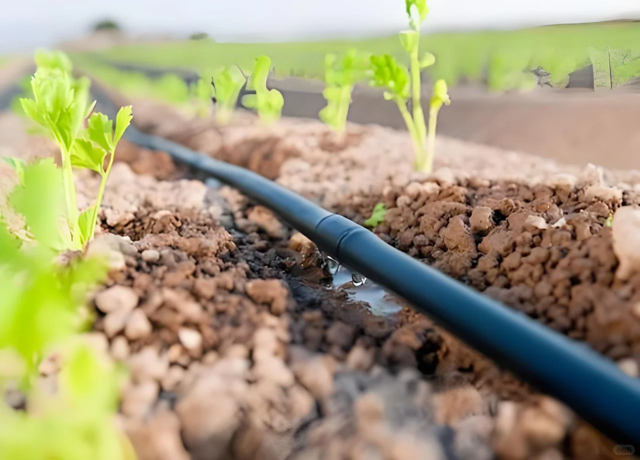 ?赵一博的秘密武器—智能水肥一体机！