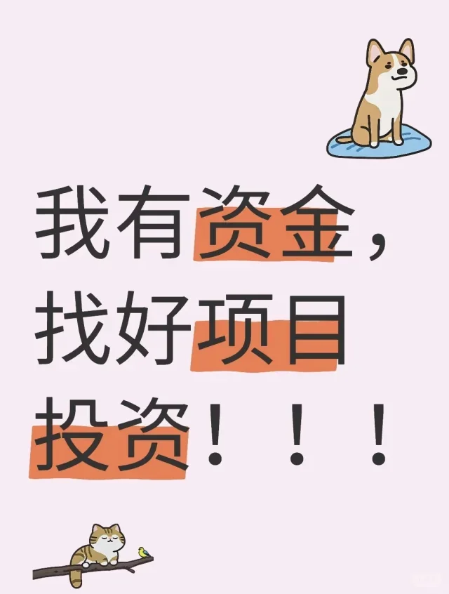 资方找项目