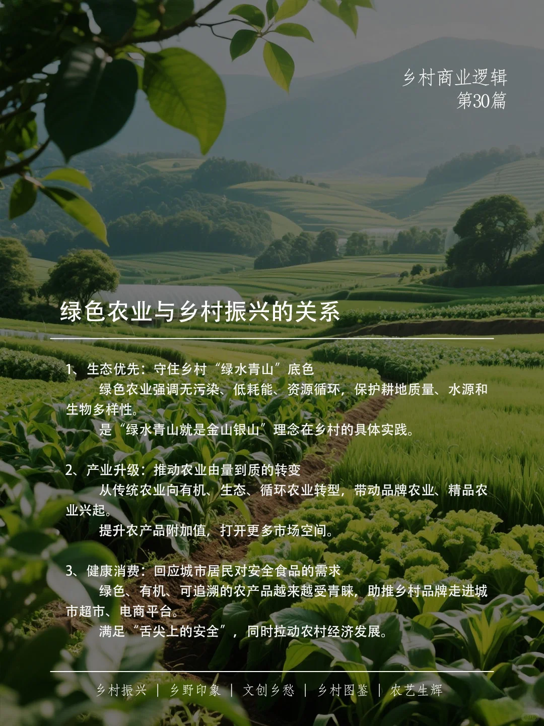 绿色农业，不只是种田，更是乡村的未来之路