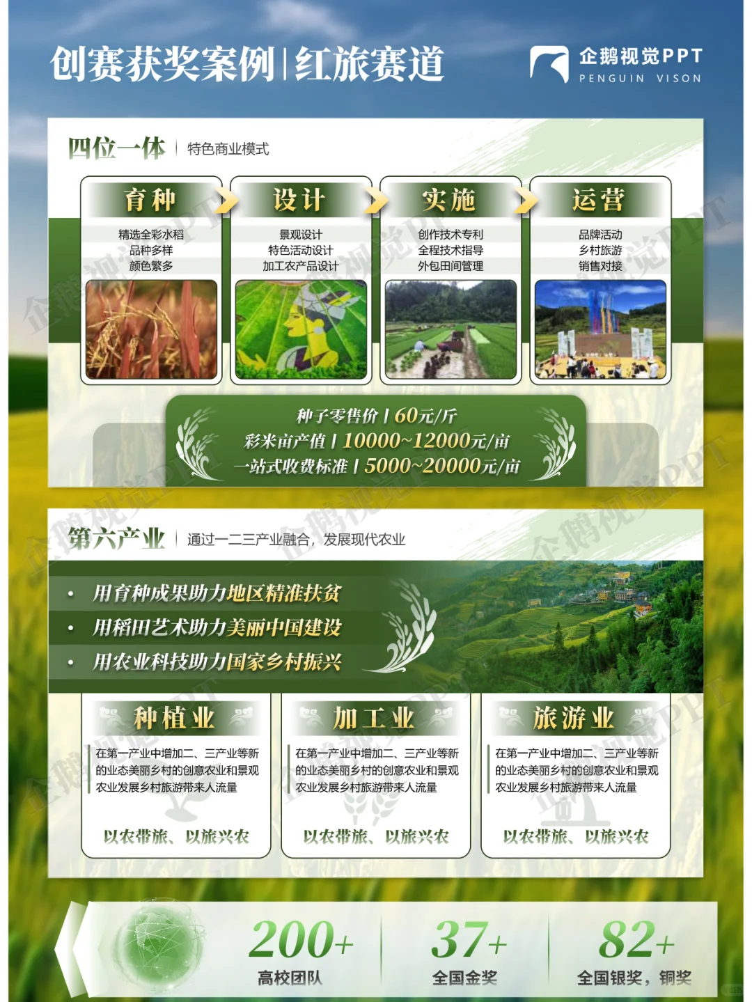 创赛获奖案例 | 红旅赛道《稻谷先锋》