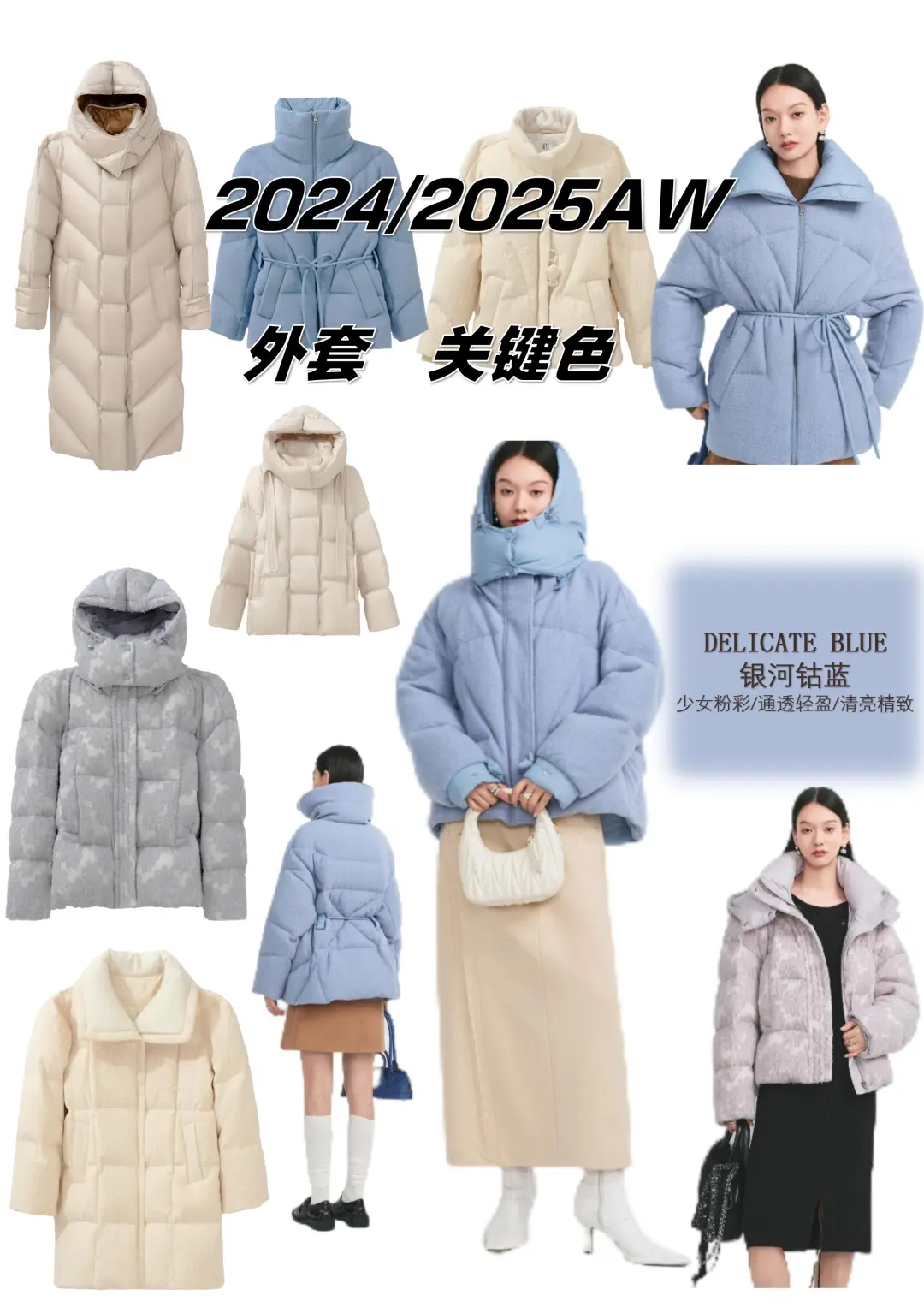 高级配色｜2024/2025AW秋冬流行色