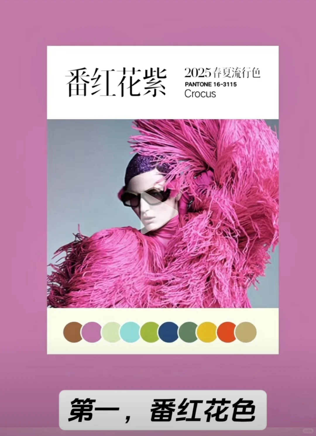 2025年春夏流行色