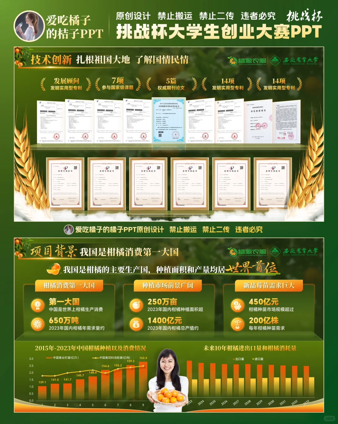 挑战杯柑橘助农乡村振兴PPT设计 助农PPT