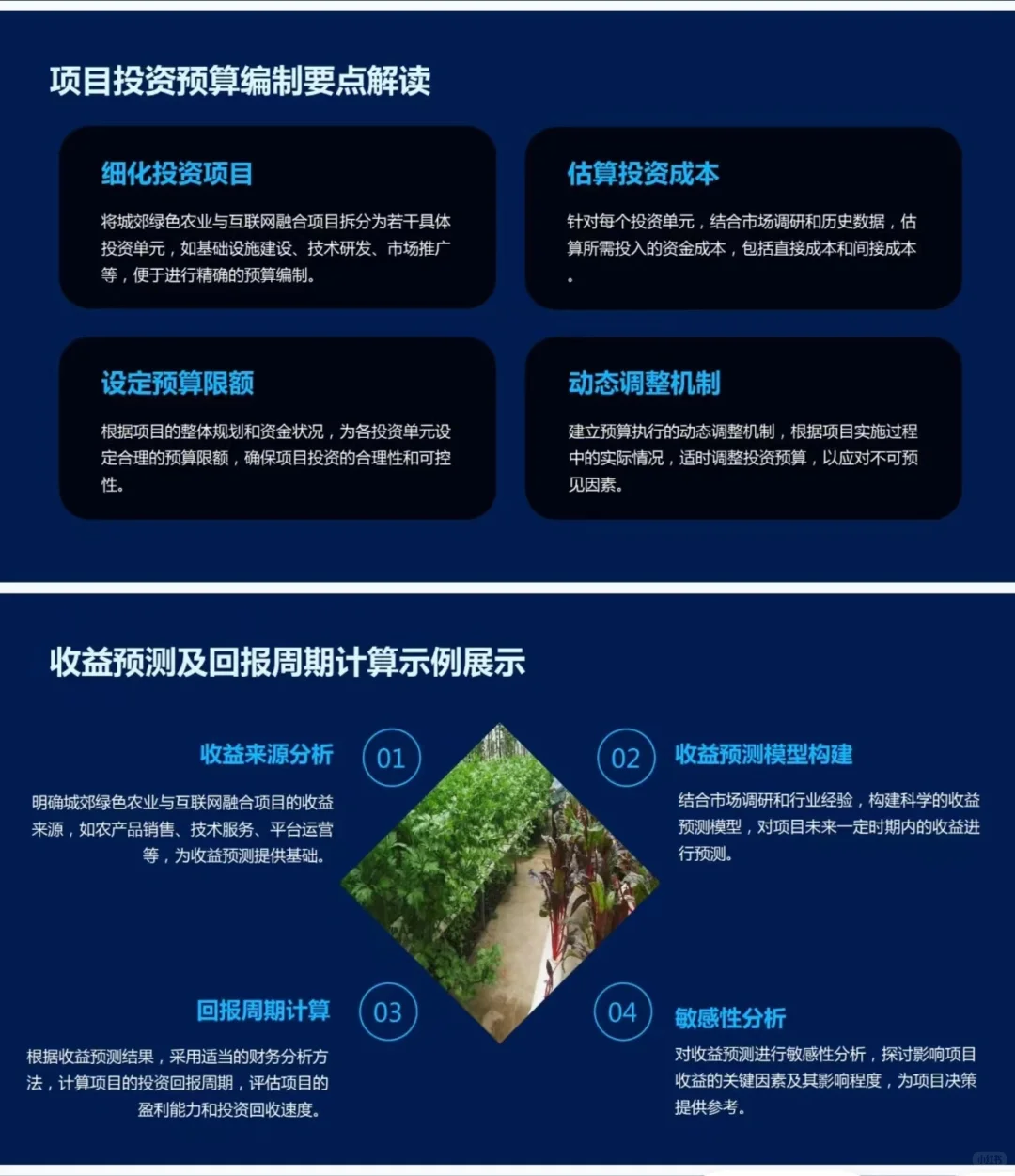 『城郊绿色农业与互联网融合』创业计划书