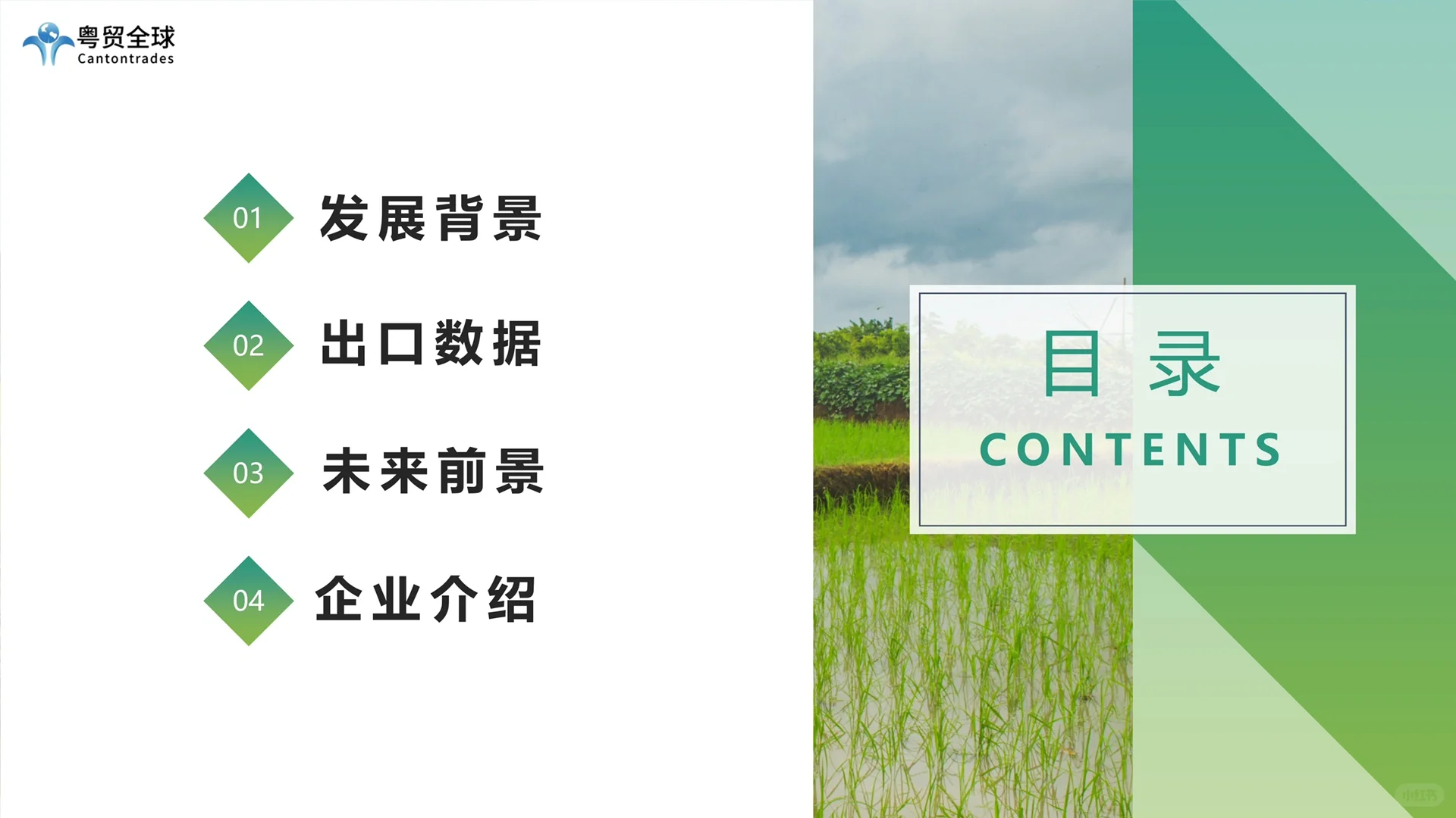 中国农产品跨境出海调研报告