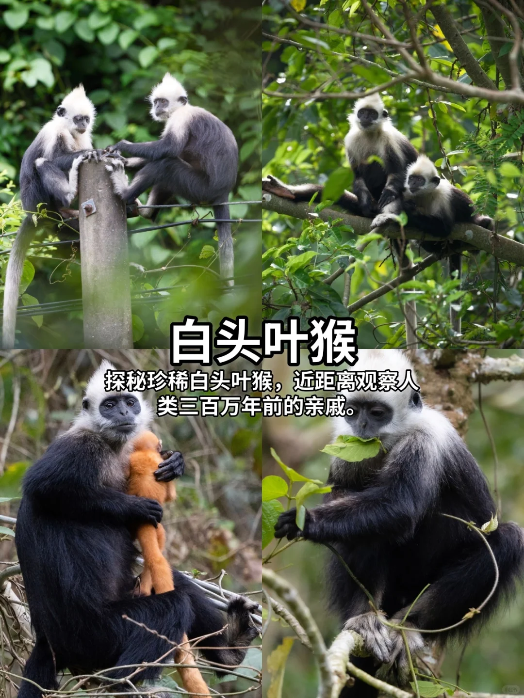 刚回!广西 7 天秋线不绕路直接冲