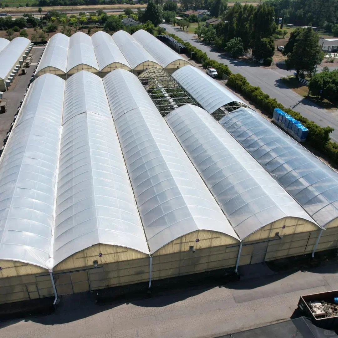 来温室大棚的供应商和工厂