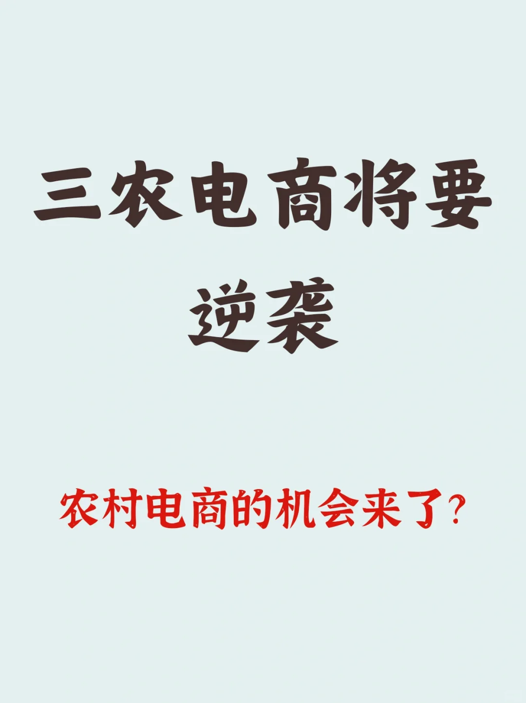2024三农电商将要崛起