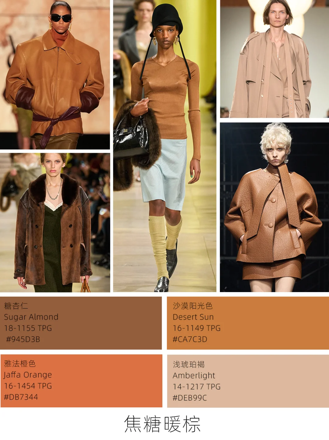 25秋冬色彩趋势