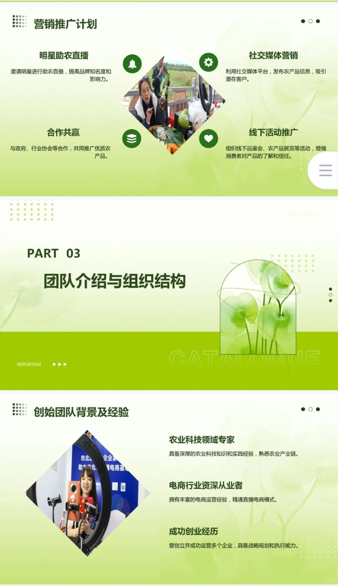 助农直播电商商业计划书word➕PPT