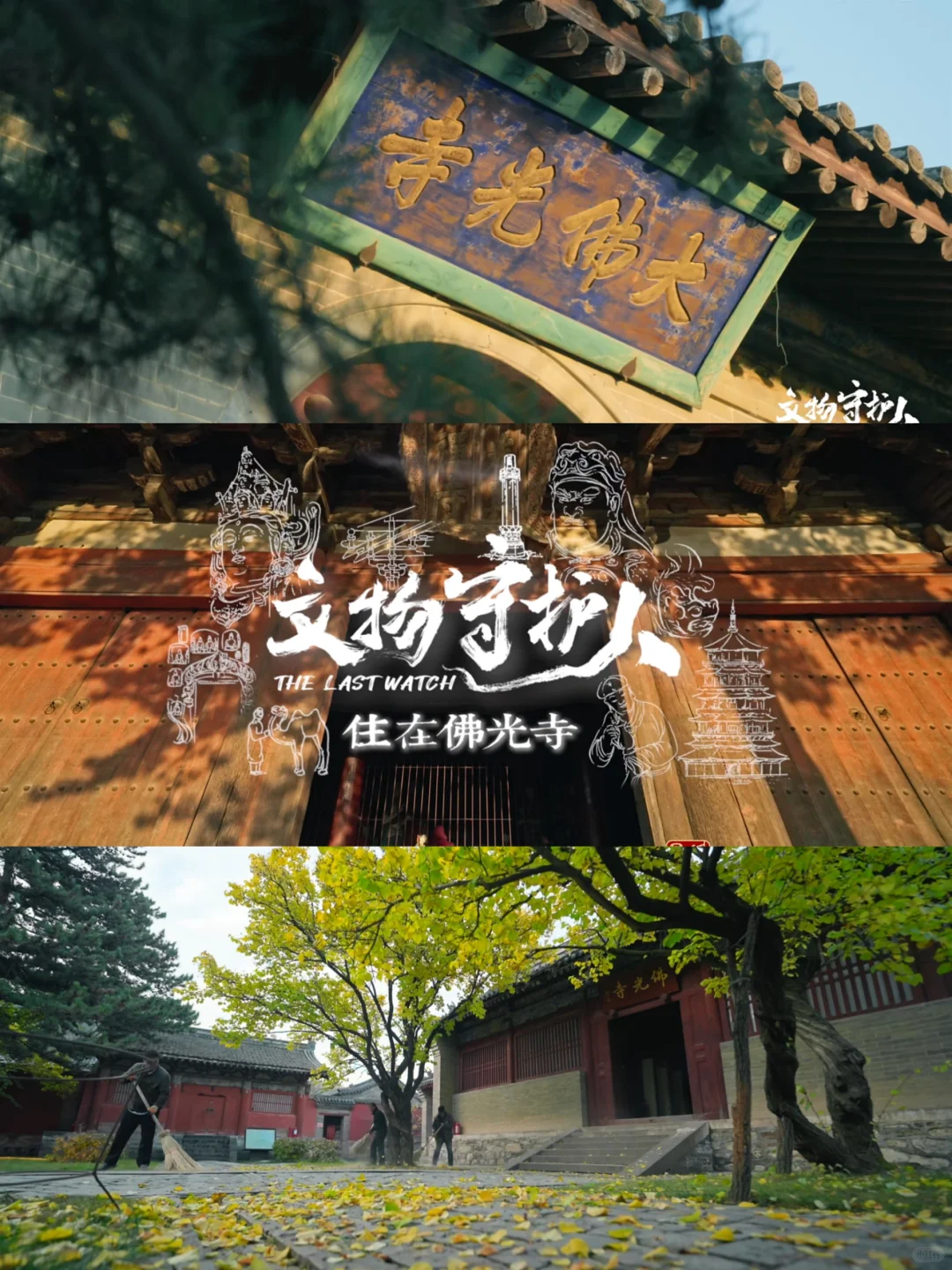 纪录片记录|NO.24文物守护人