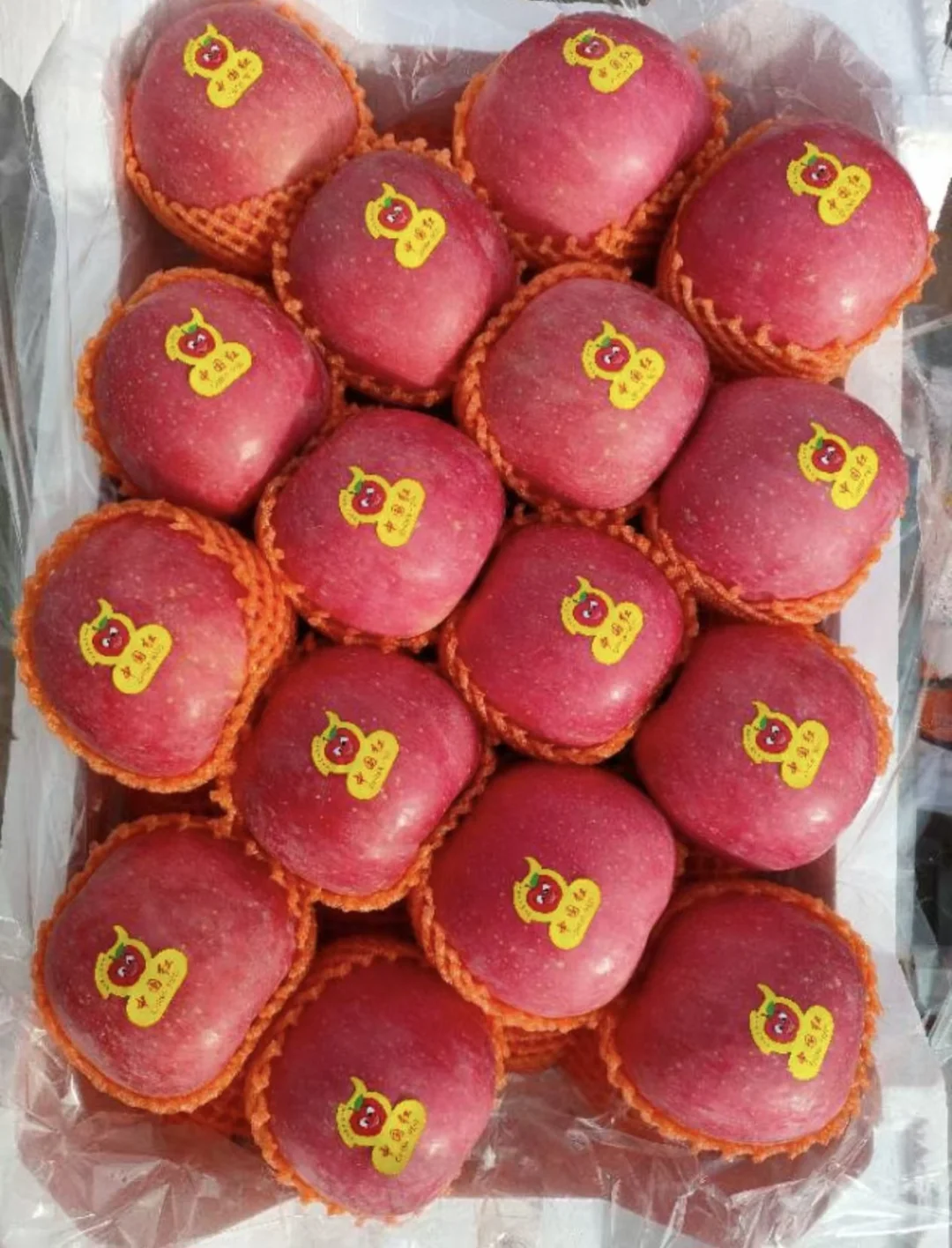 急寻！超市包装源头工厂