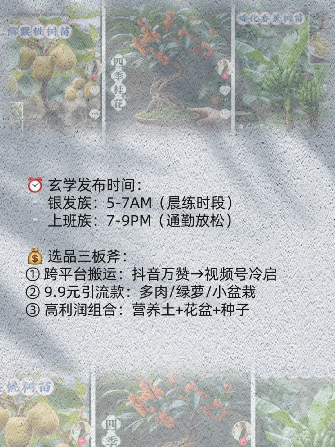 ?「AI绿植爆款赛道」周销破千单? 三