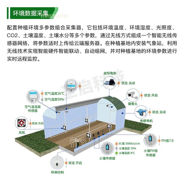 新质生产力驱动下的智慧农业发展模式