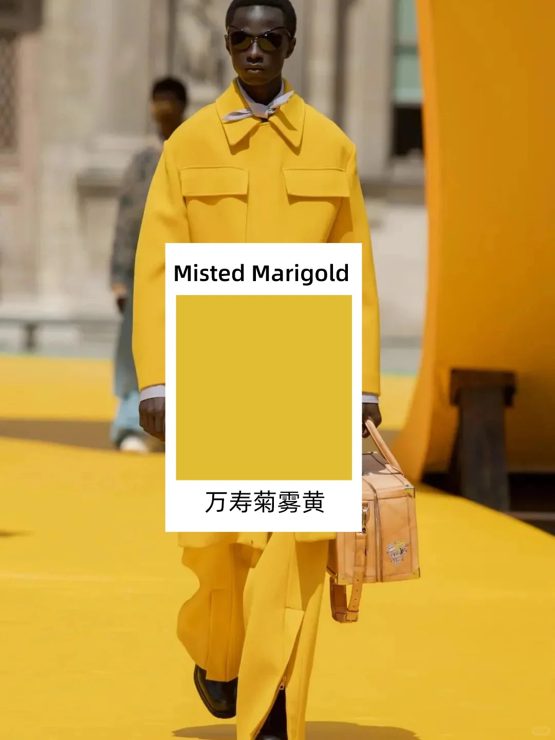 想知道 2025 春夏流行色趋势？点进来?