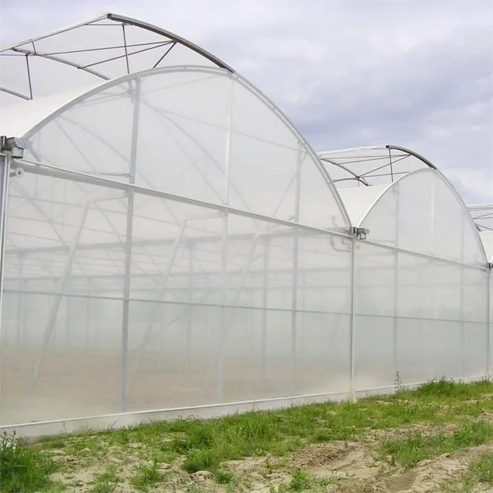 来温室大棚的供应商和工厂