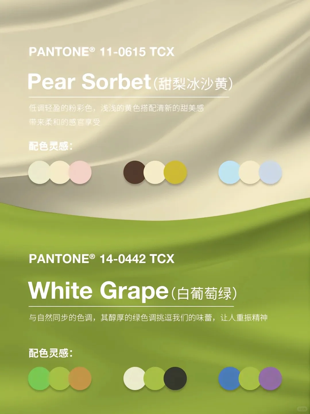 潘通2025时尚色前瞻