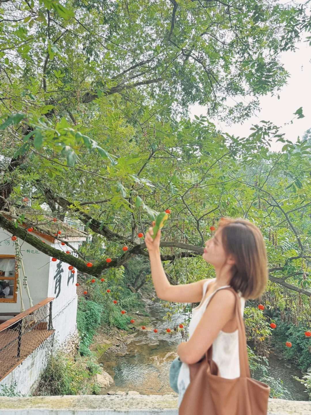 芜湖周边，农村咖啡，超出片