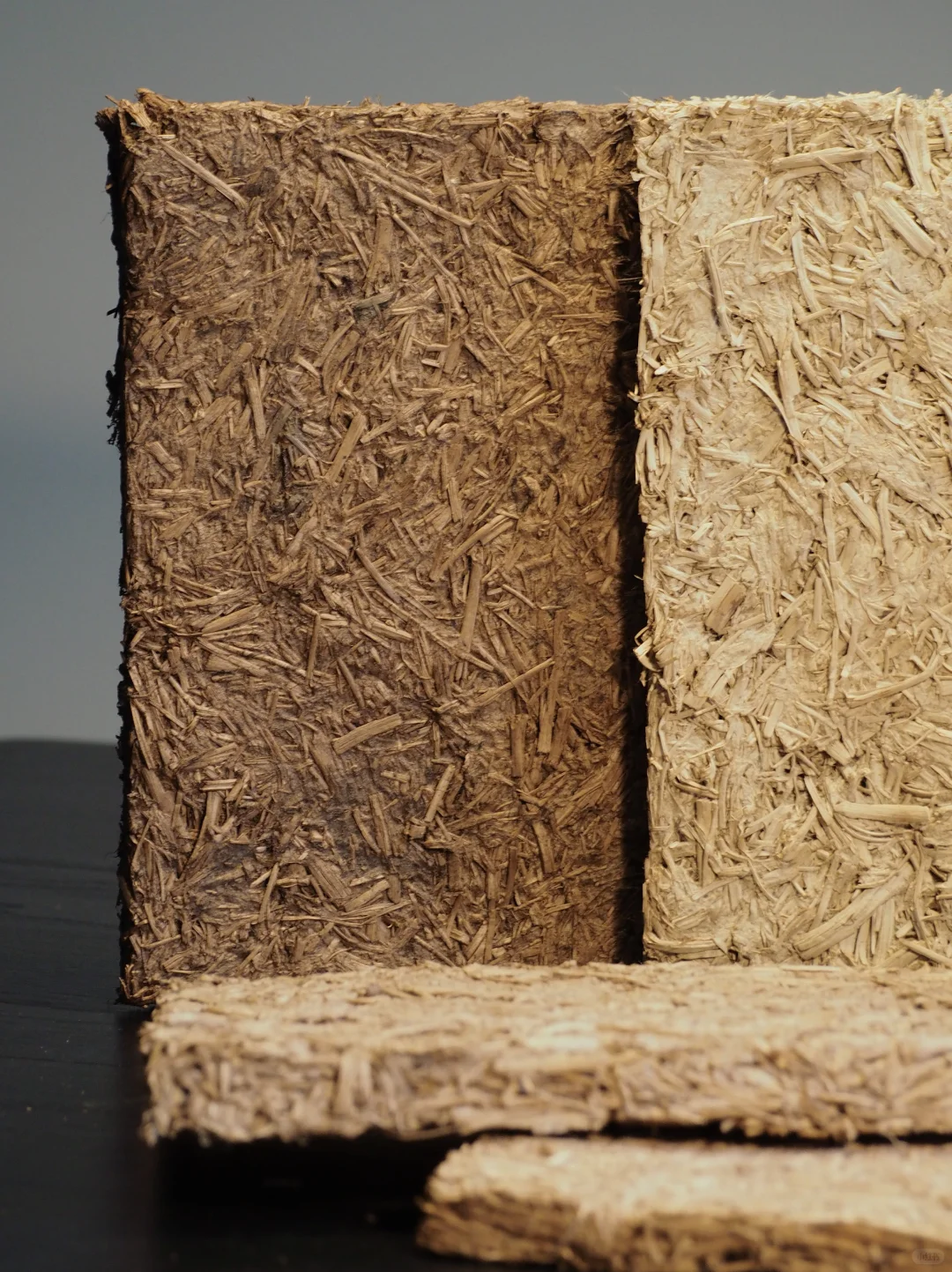 啤酒花藤蔓：源于土地，归于土地