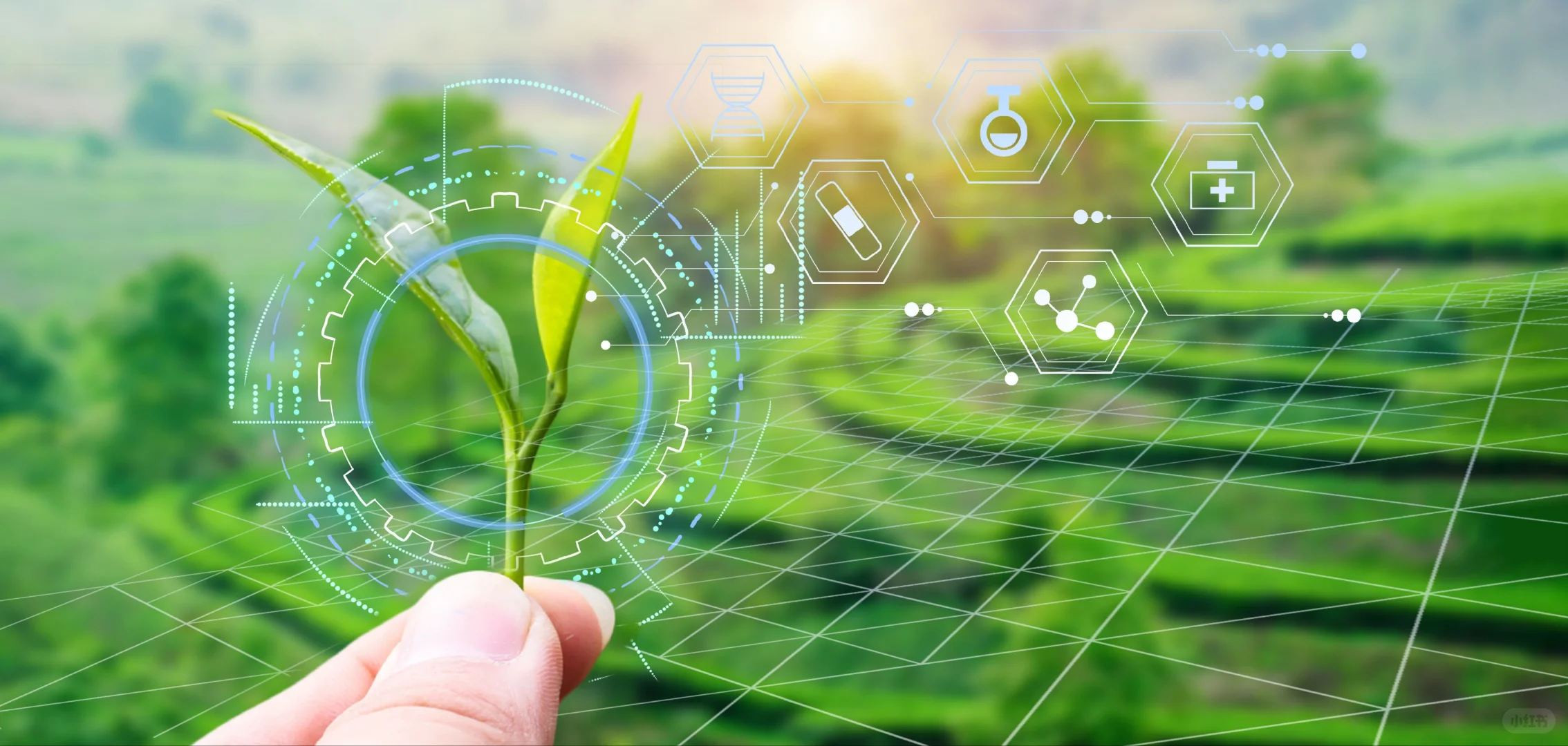 追完《种地吧》热血上头！智慧农场搬进毕设