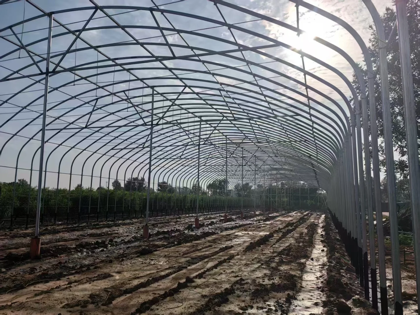 【硬核龙骨 撑起丰收天地】??