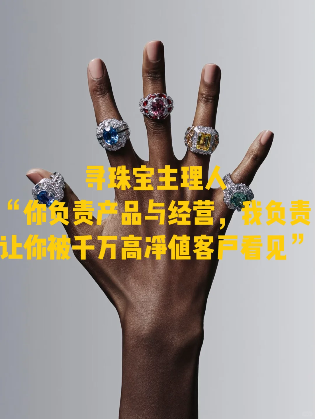 寻珠宝主理人合作