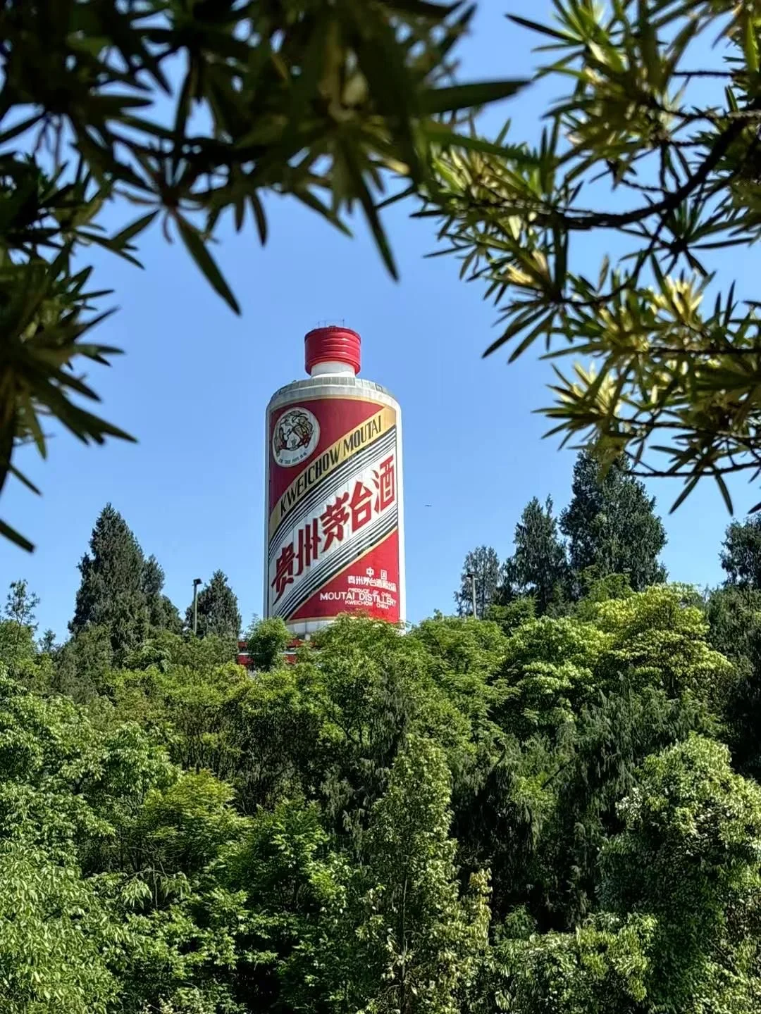 茅台镇选酒避坑｜本地人只喝光瓶酒！