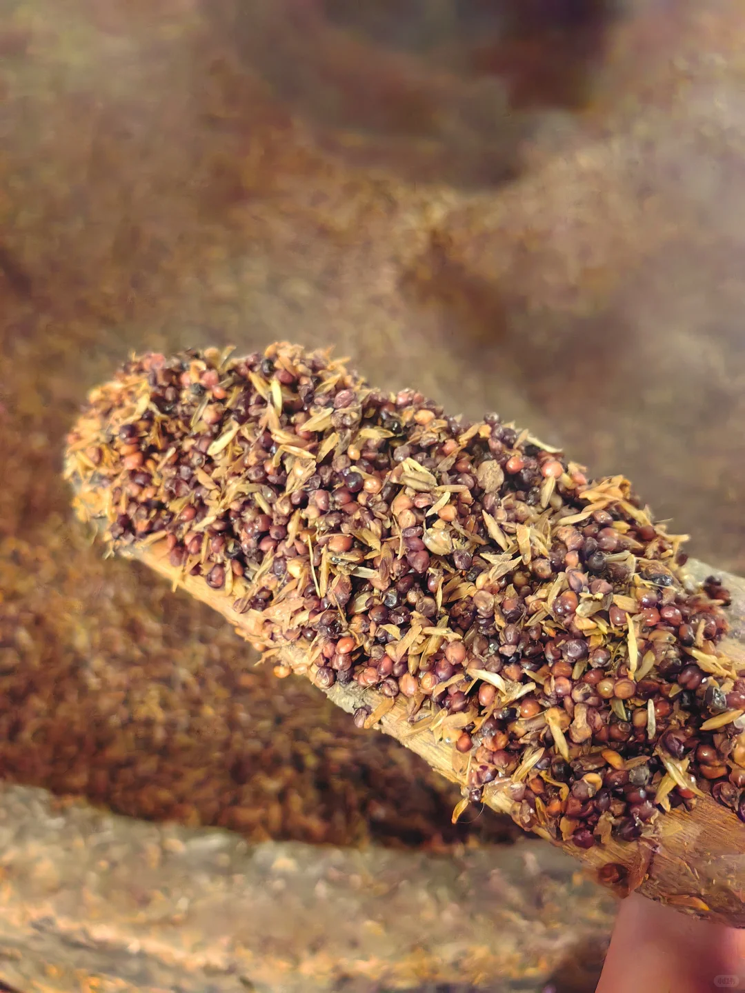 给广东酒友装了30斤纯粮酒,有10斤72度的