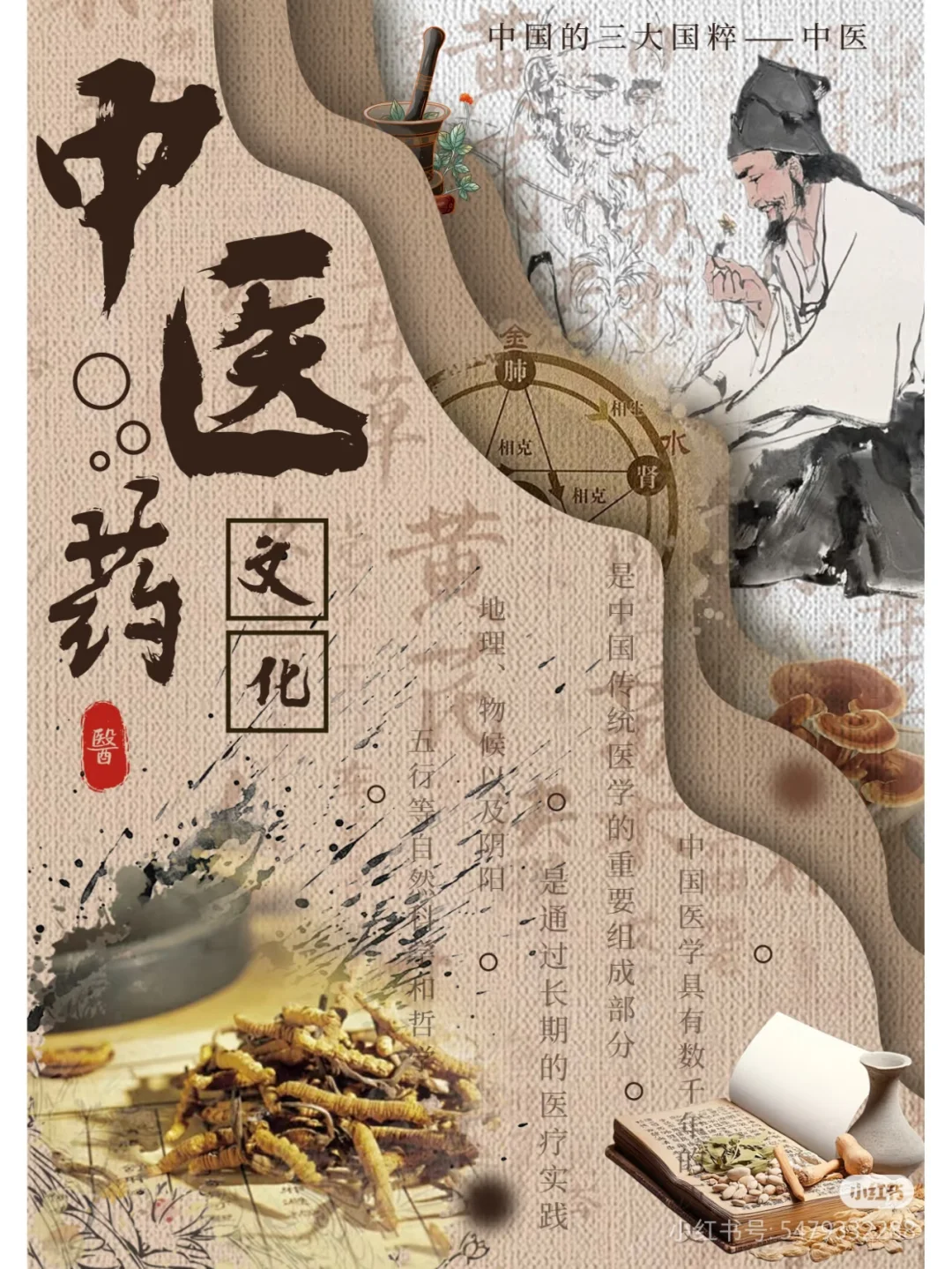 弘扬中医传统文化,守护民族瑰宝薪火相传