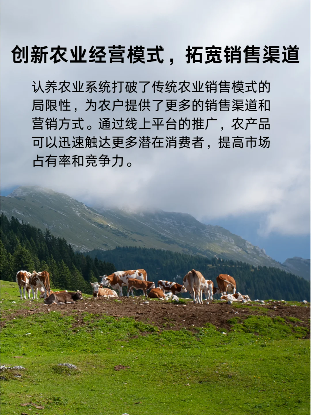 区区认养农业，拿下！?