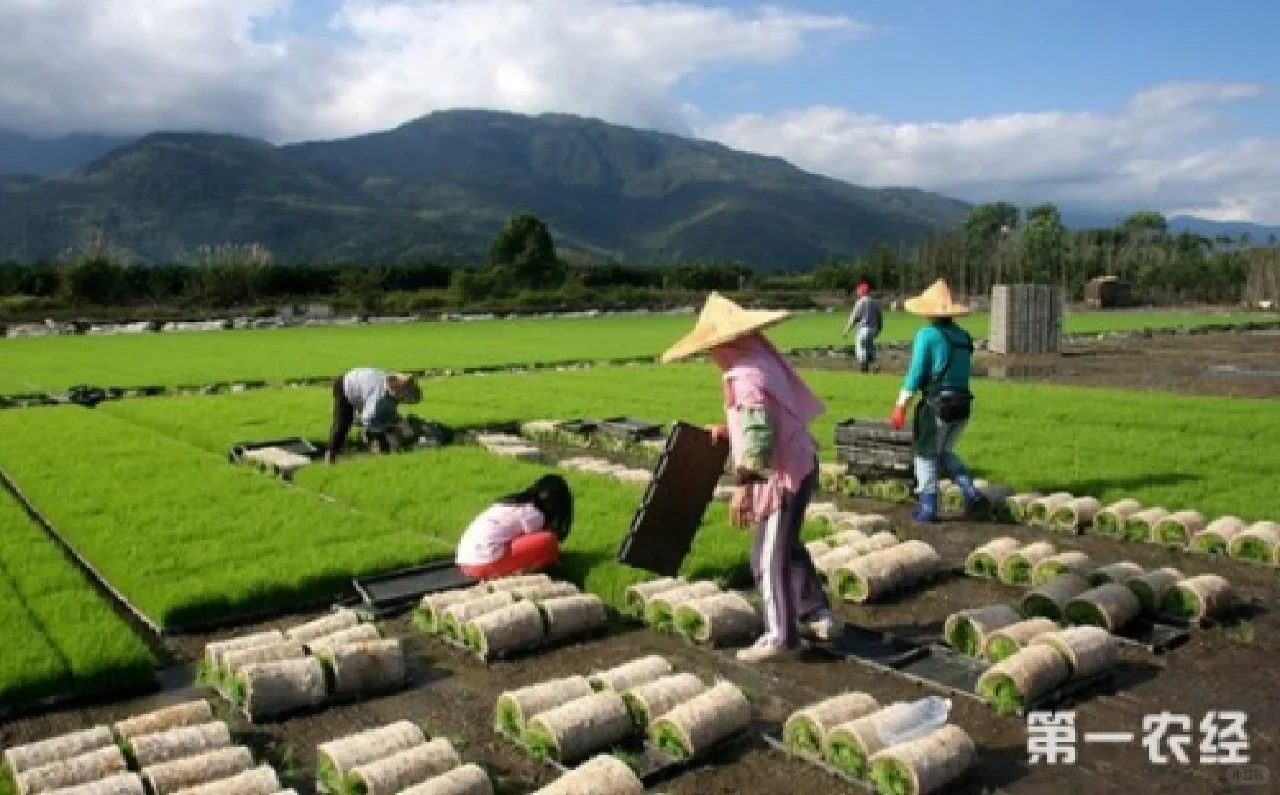 绿柏农业分享：农业新型业态该如何发展