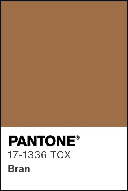 2025年纽约时装周春夏流行色趋势