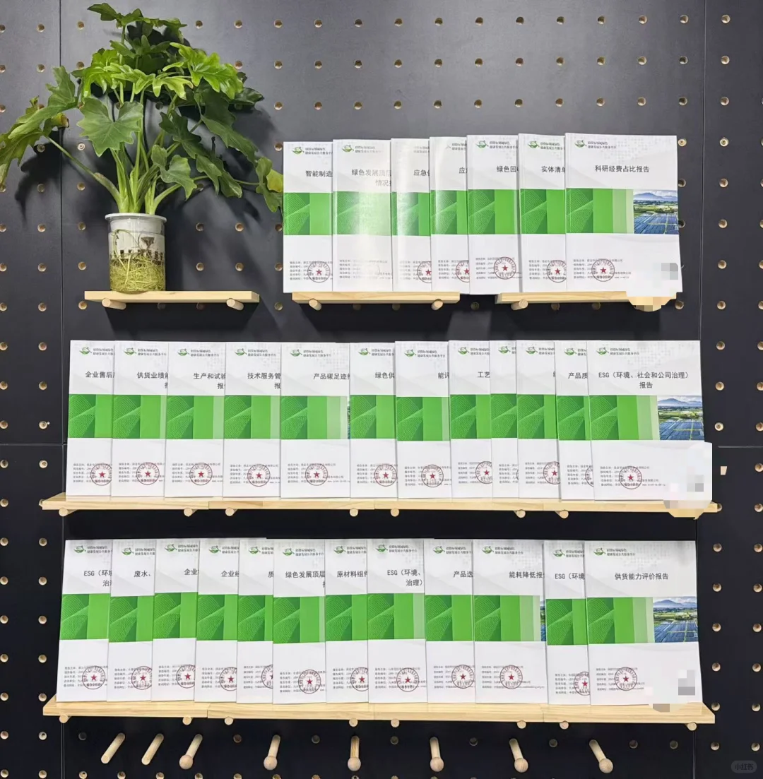 国网招投标供应商资质审核报告评价证书编写