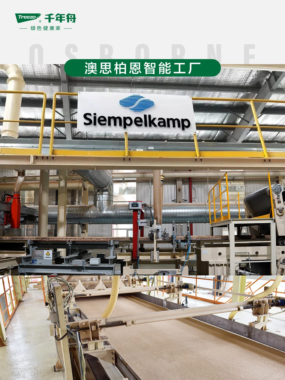 千年舟智能工厂揭秘|422品牌日见证好板诞生