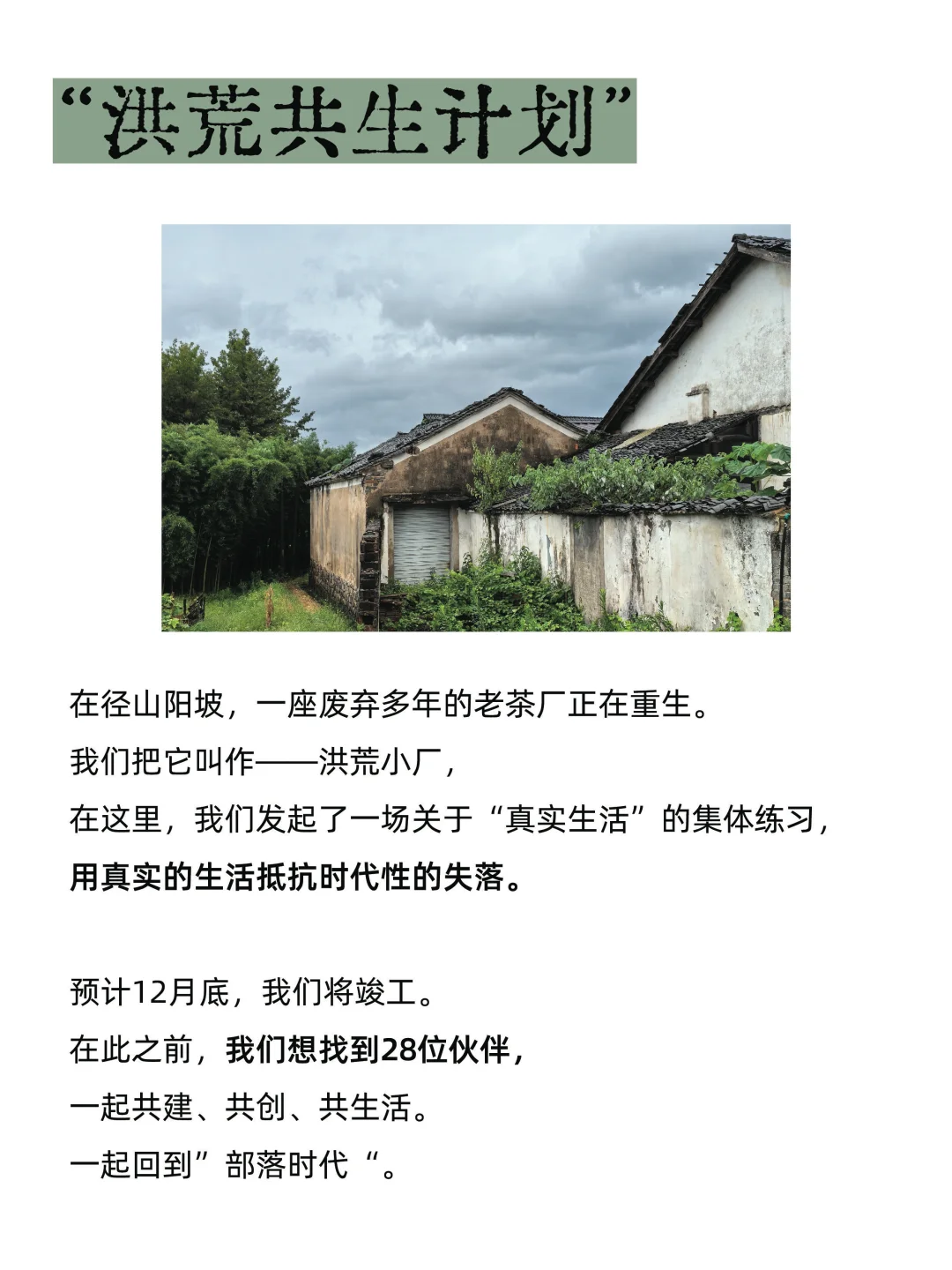 洪荒共生计划｜在乡村寻找28位创生伙伴