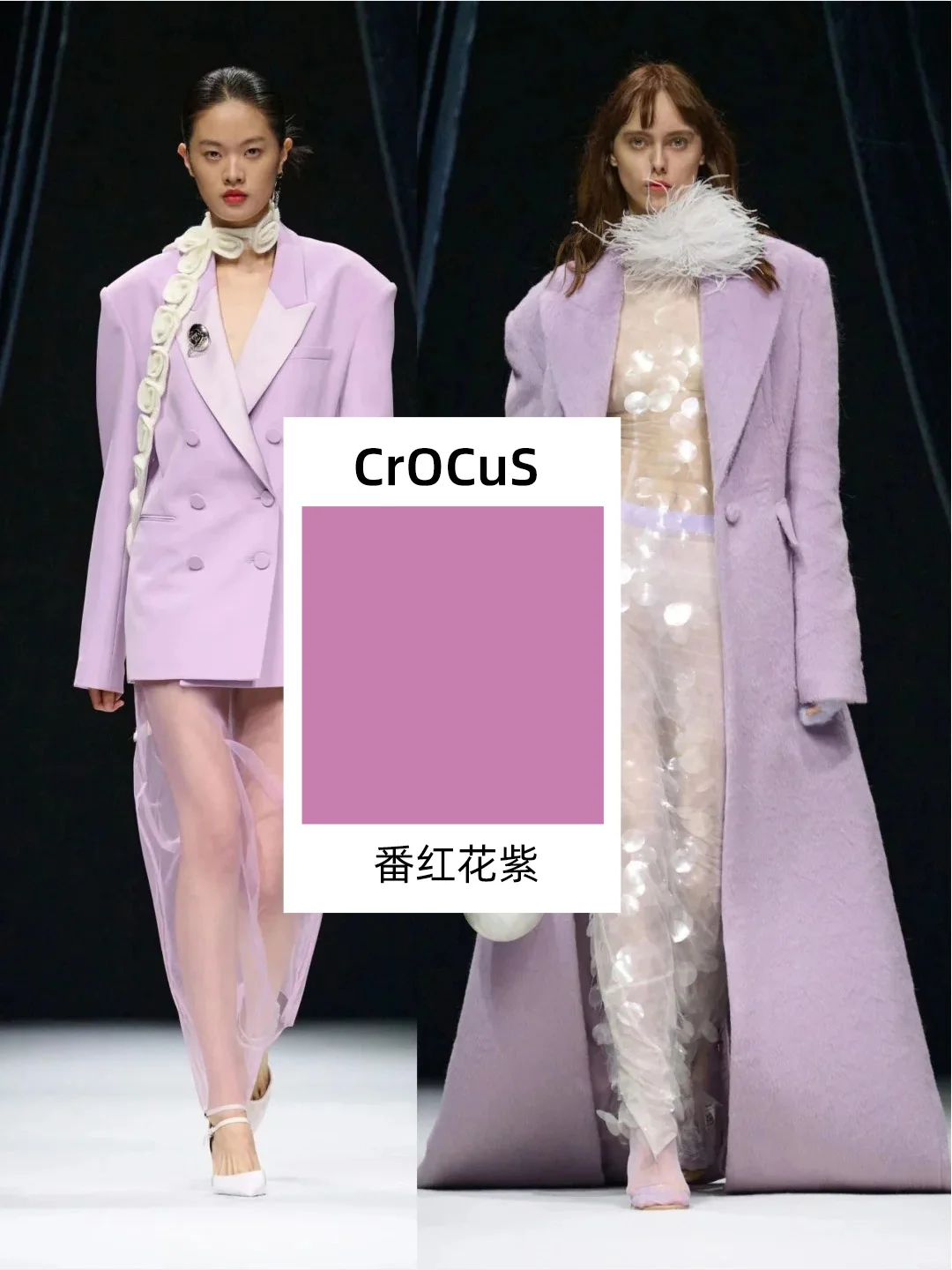 想知道 2025 春夏流行色趋势？点进来?