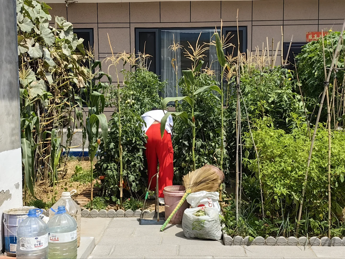 大学生暑期社会实践——桑梓农情，生态先行