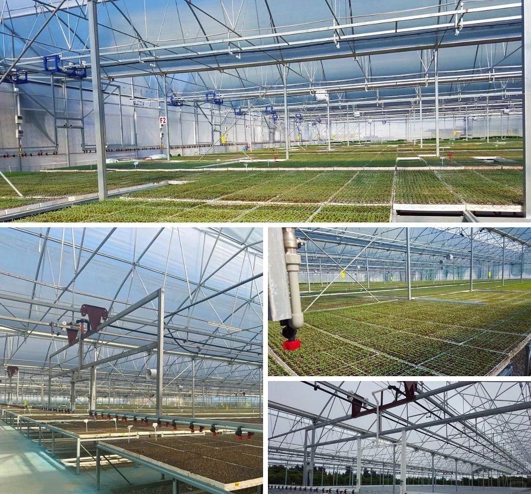 来温室大棚的供应商和工厂