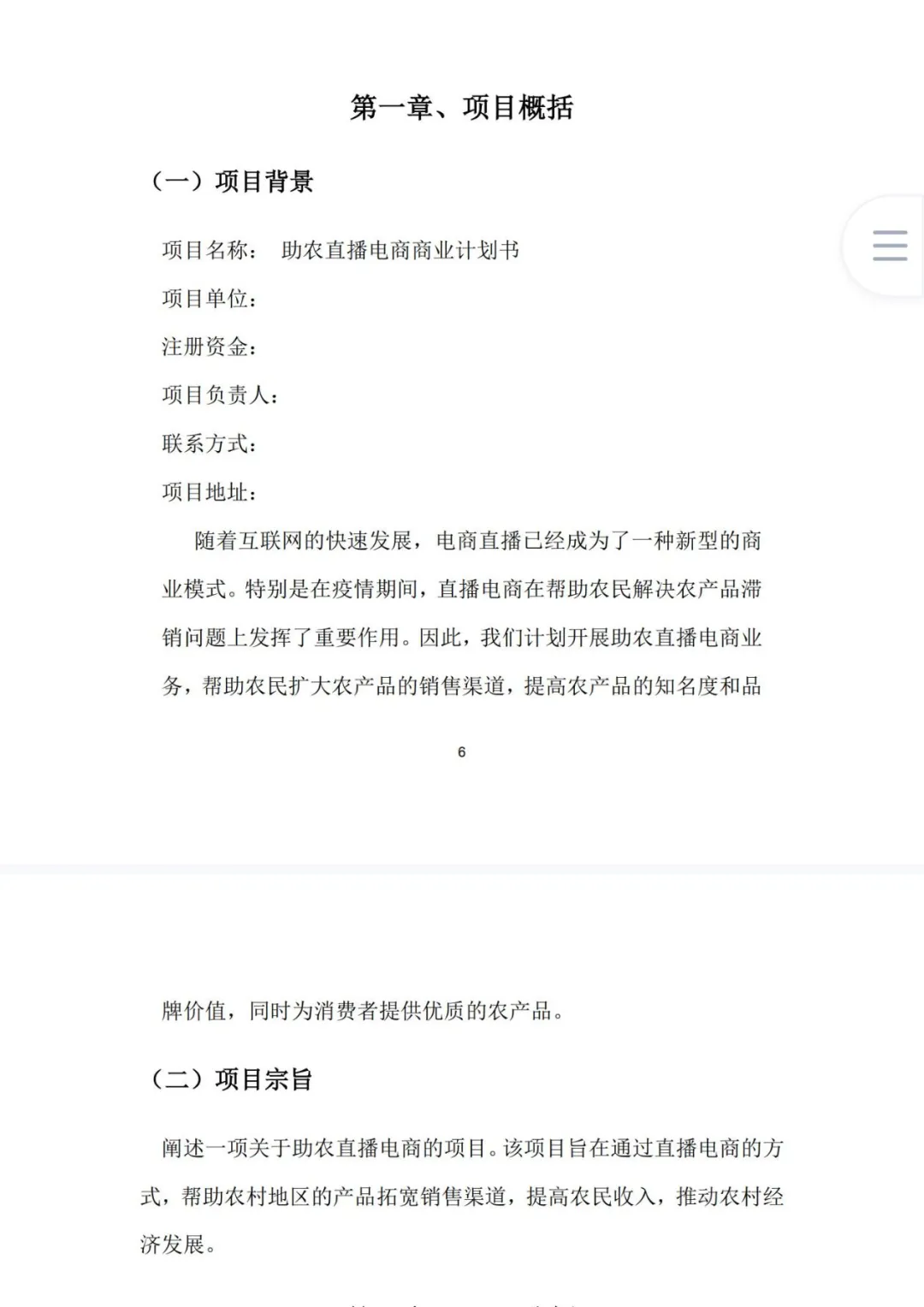 助农直播电商商业计划书word➕PPT