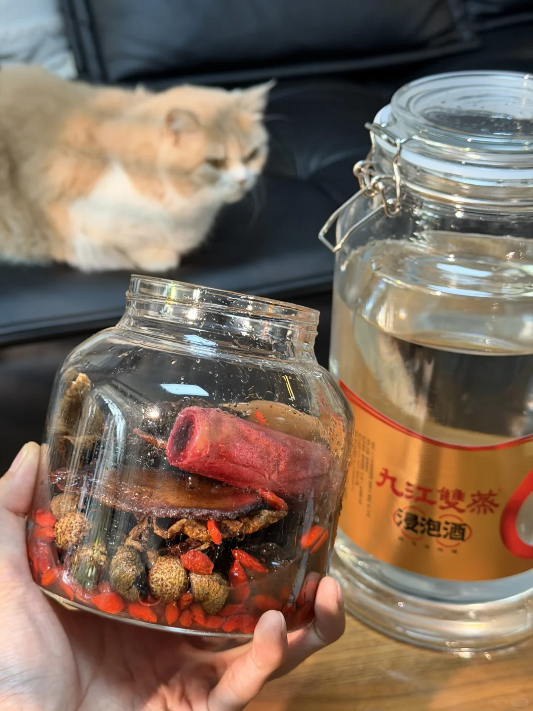 入冬仪式感，为自己泡一坛“三阳暖身酒”