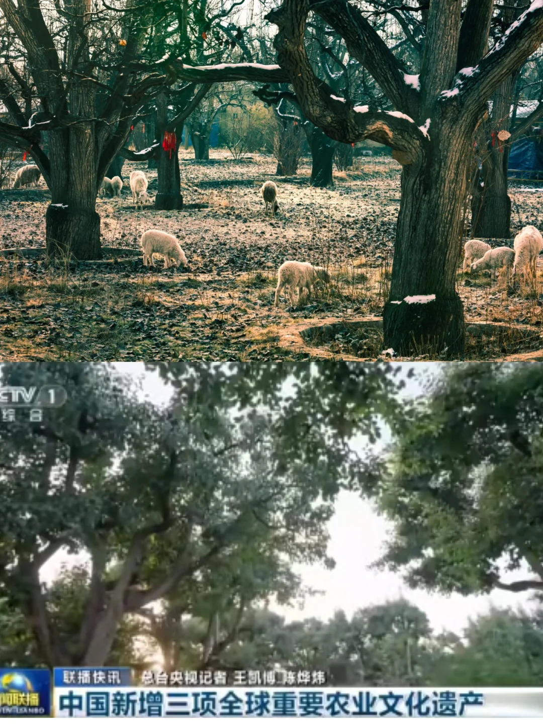 从《生万物》看中国农耕,发展智慧农业!