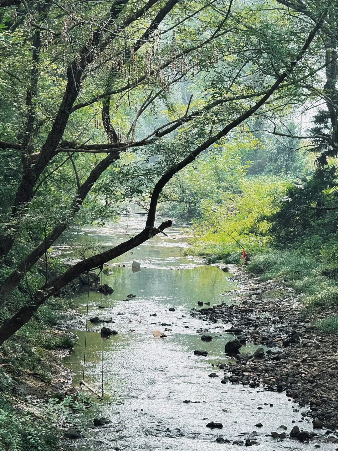 芜湖周边，农村咖啡，超出片