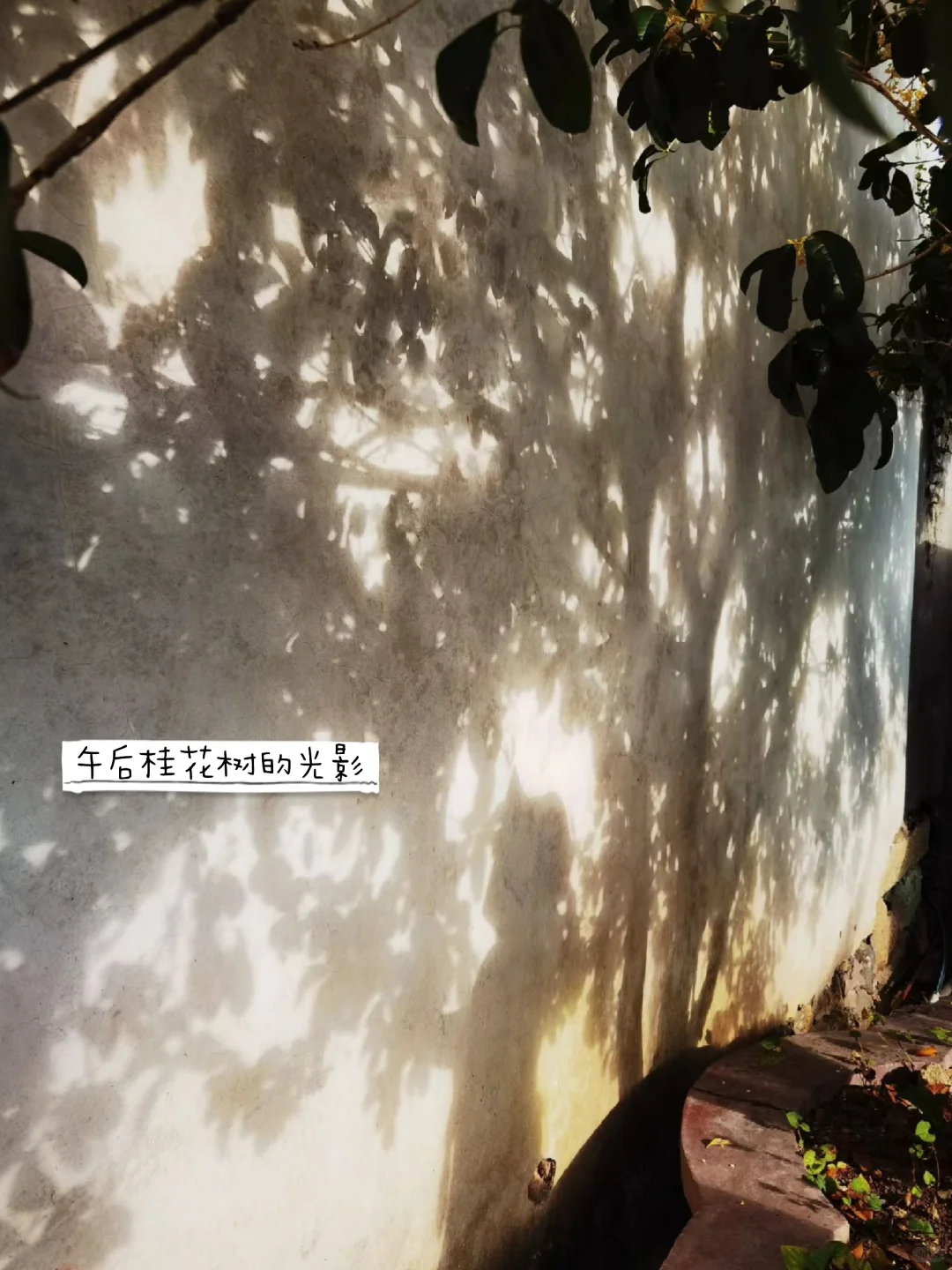 陈靖姑总部|古田临水宫