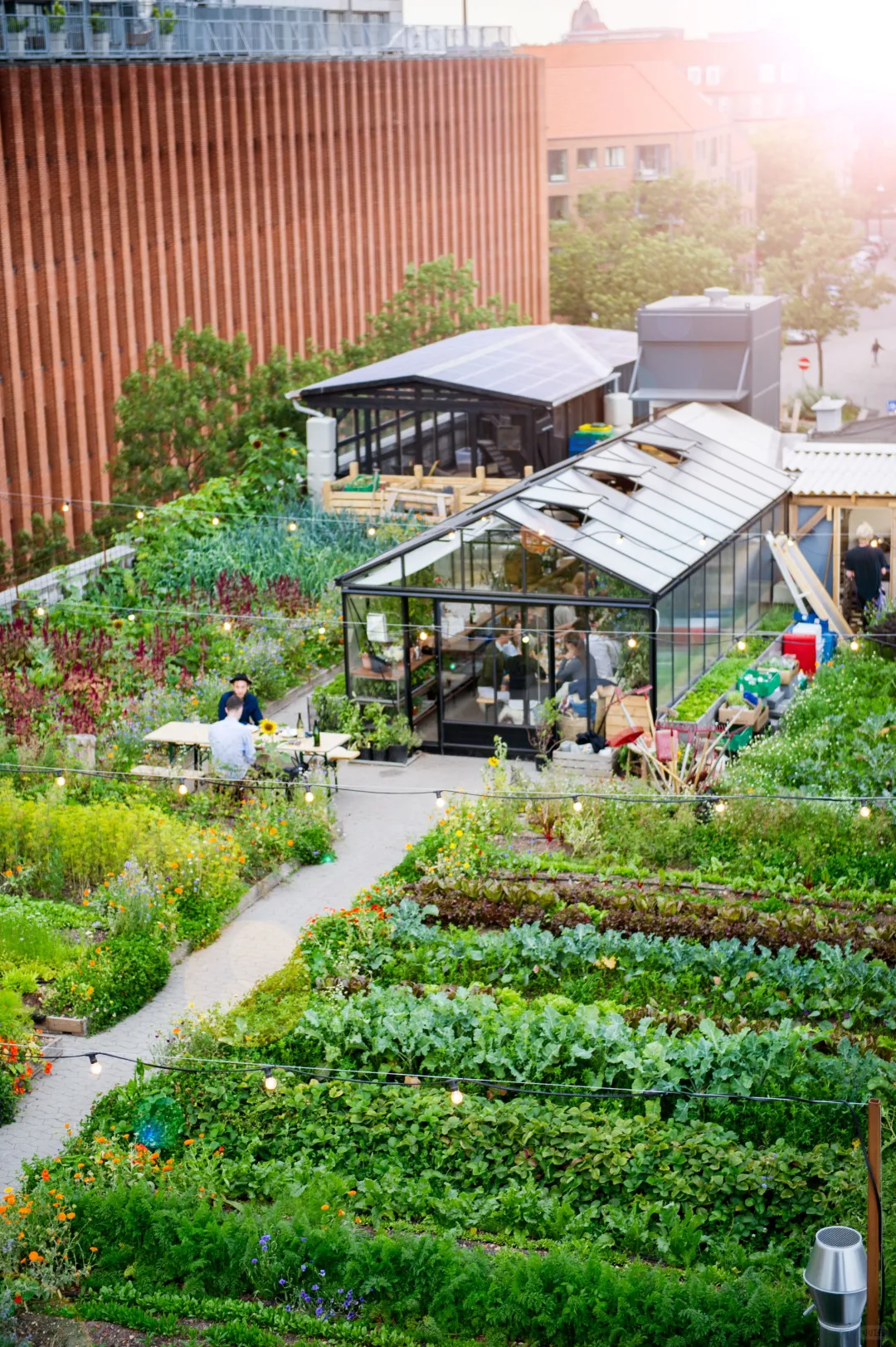 【联合创业招募】常州田园生态农场·主厨