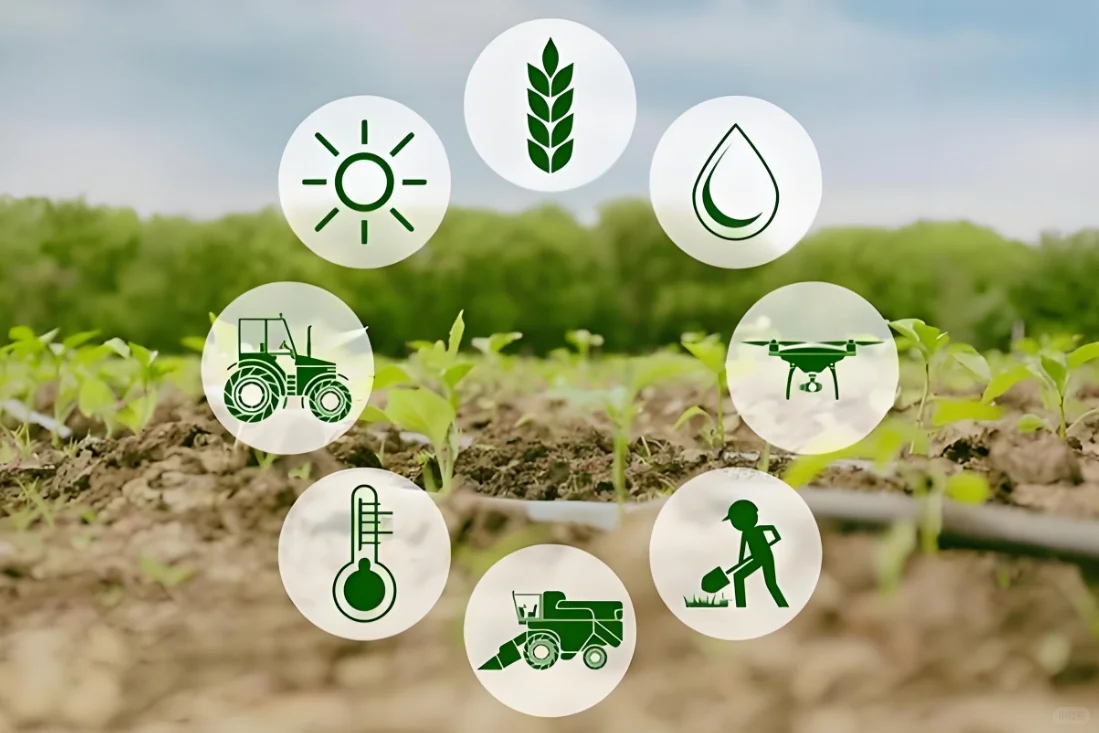 绿色氢农业:开启零碳农耕新时代的大门