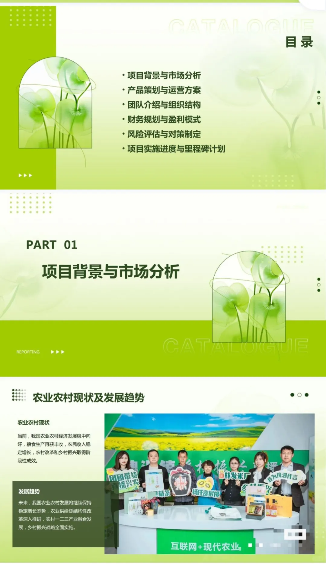 助农直播电商商业计划书word➕PPT