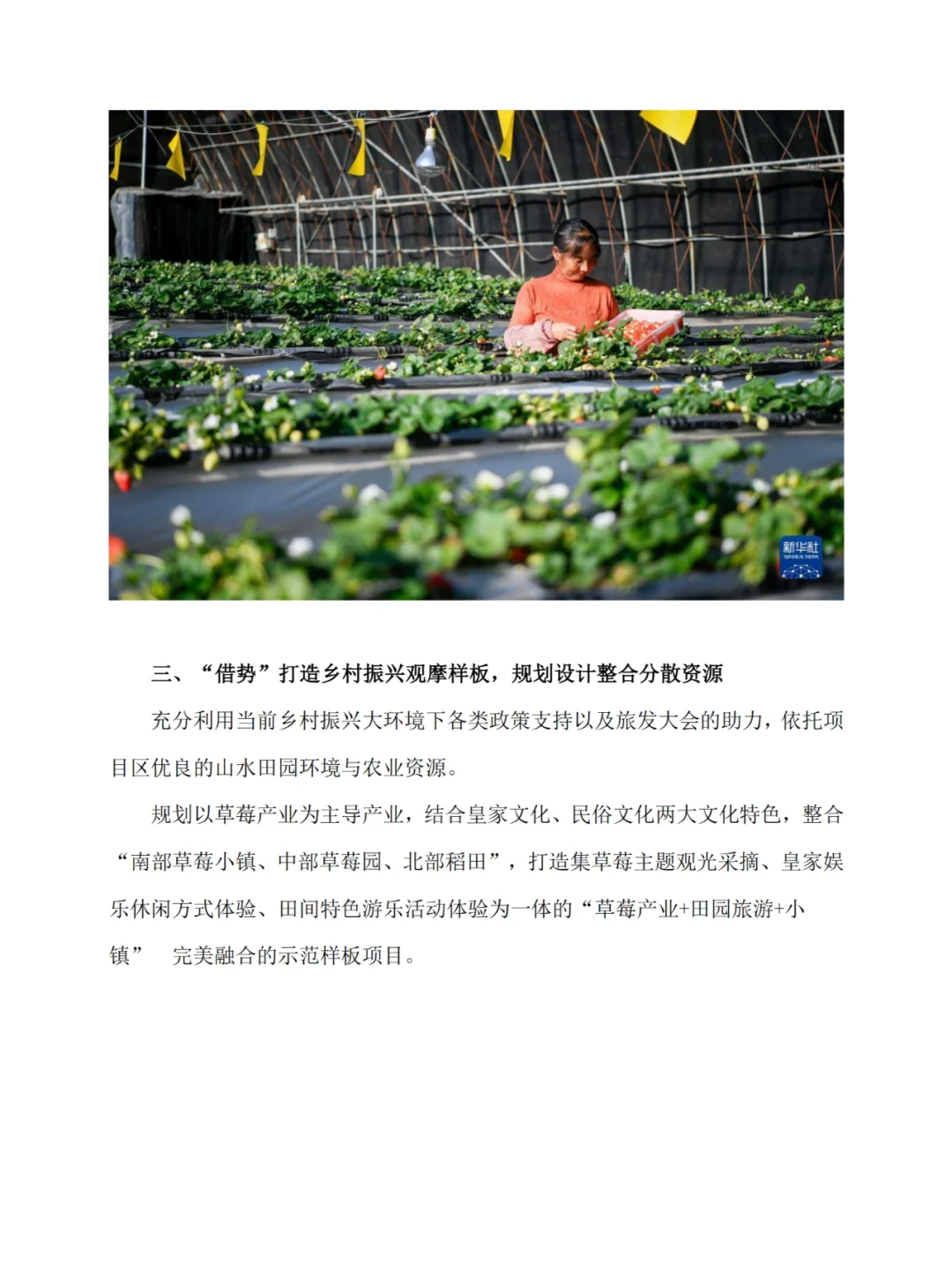 河北隆化的“小草莓大产业”