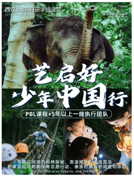 赋能少年,西双版纳雨林探索首发团来啦!